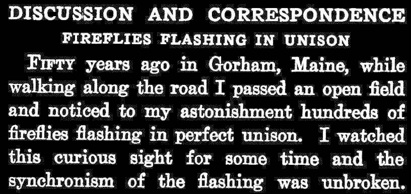 science 1916 fireflies flashing in unison